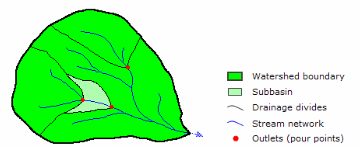 A green leaf with red dots and blue linesDescription automatically generated